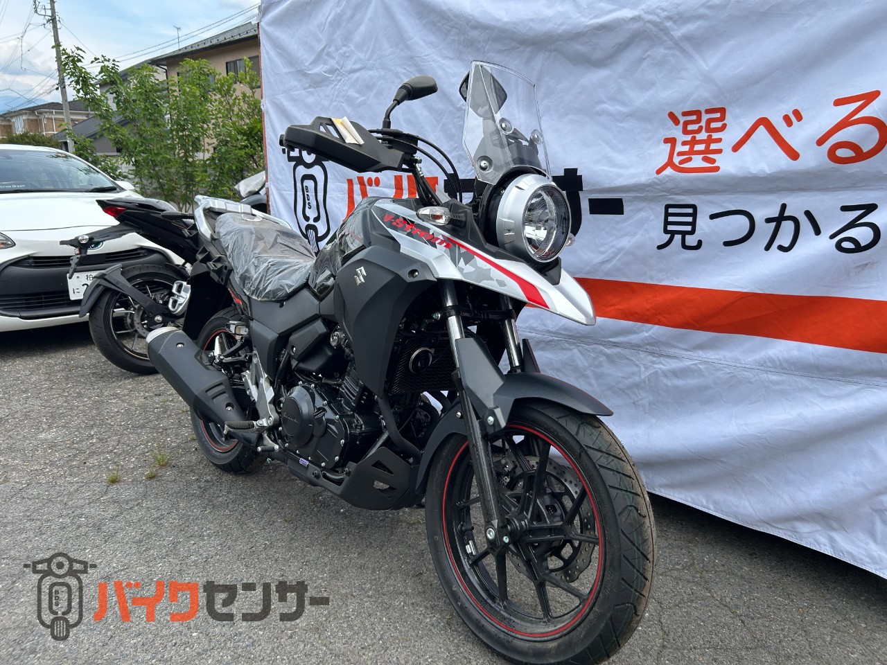 スズキ Vストローム250 ABS 2022年モデル 新車 B130562| BDSバイクセンサー