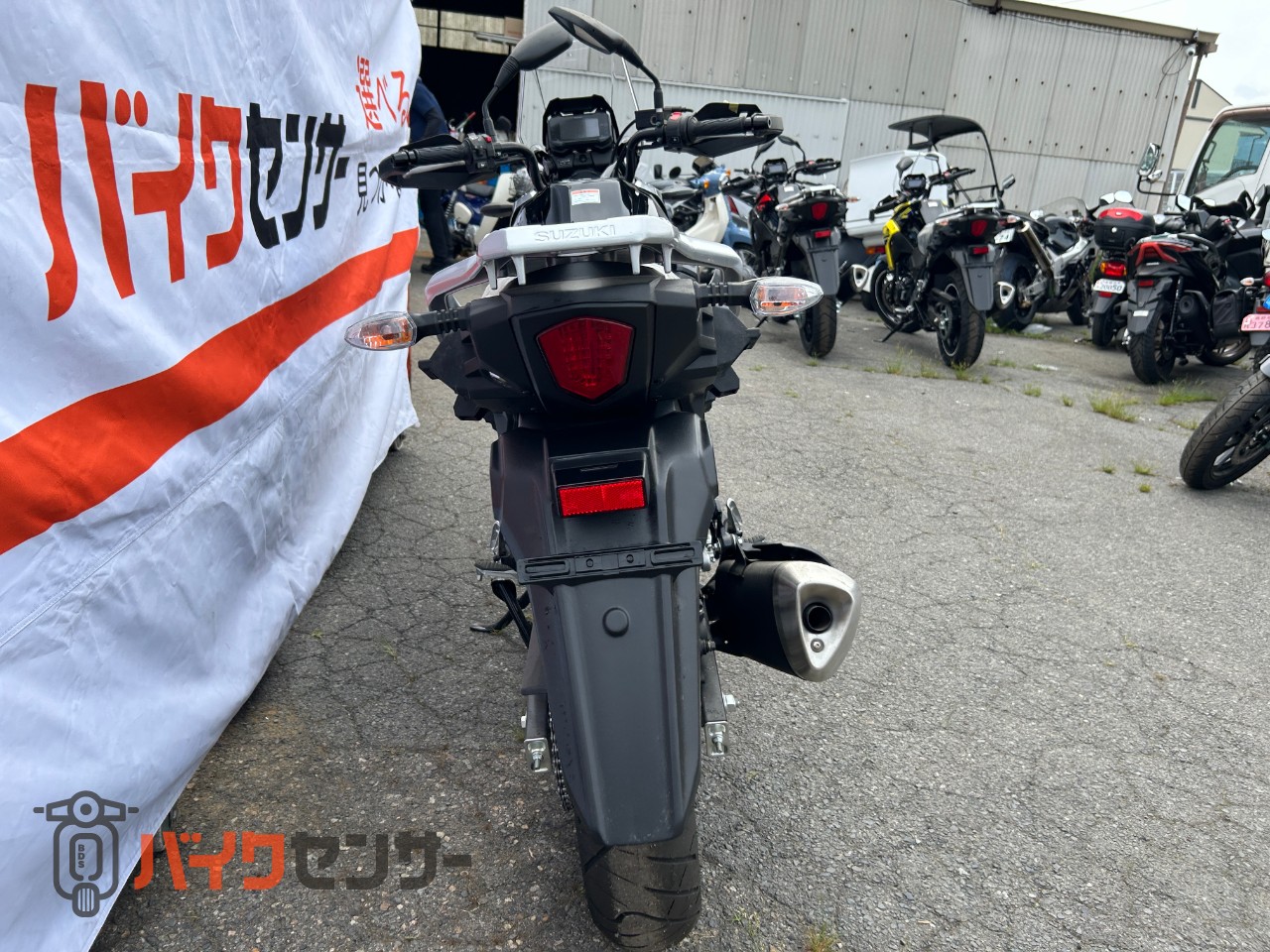 スズキ Vストローム250 ABS 2022年モデル 新車 B130562| BDSバイクセンサー
