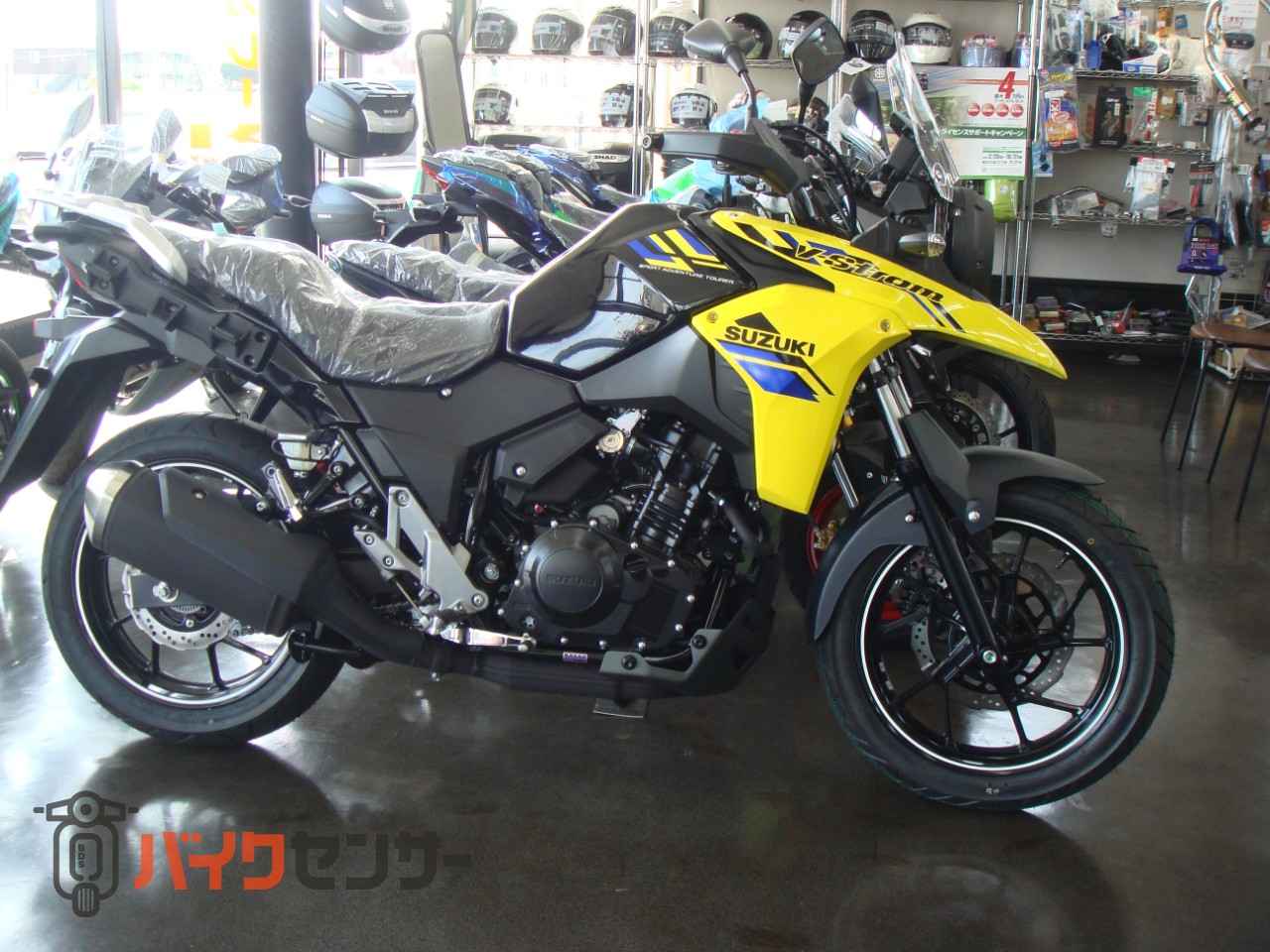 スズキ Vストローム250 新車 2023年モデル LC6DS B165101| BDSバイク