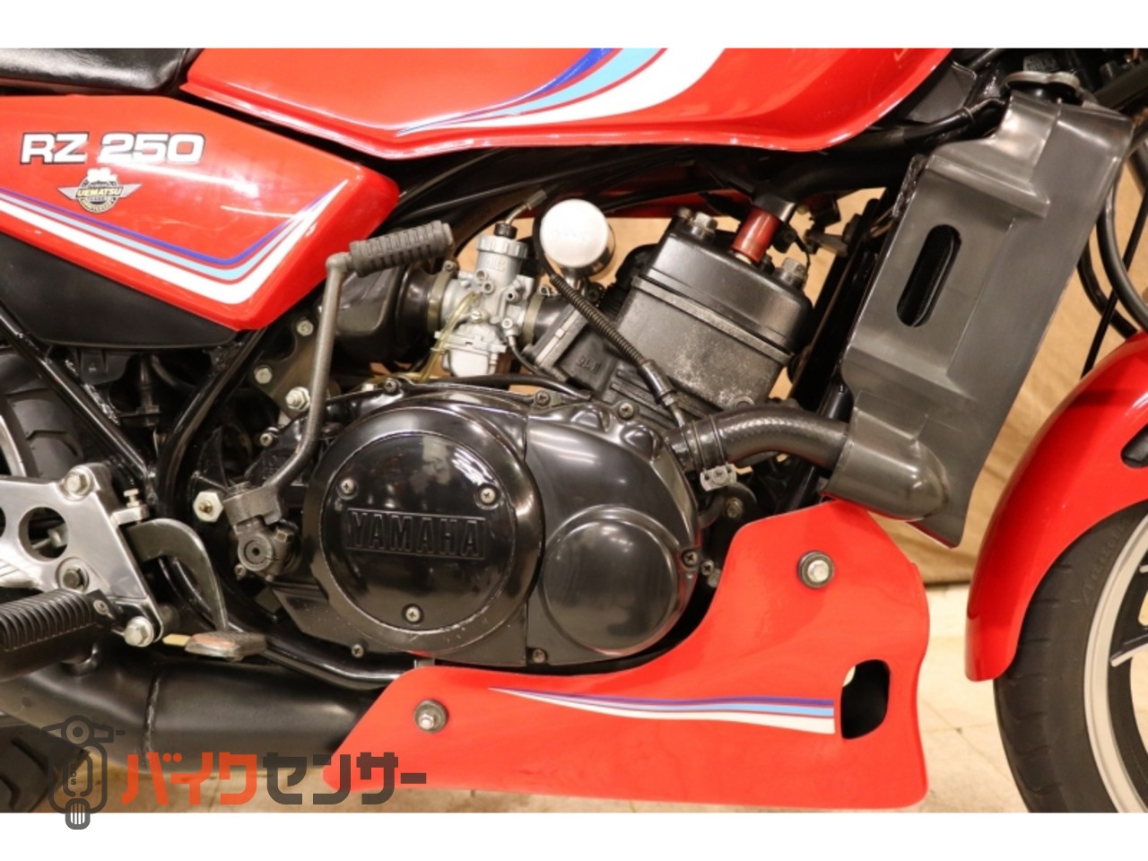 ヤマハ RZ250 YSP限定カラー 純正OPカウル B168774| BDSバイクセンサー