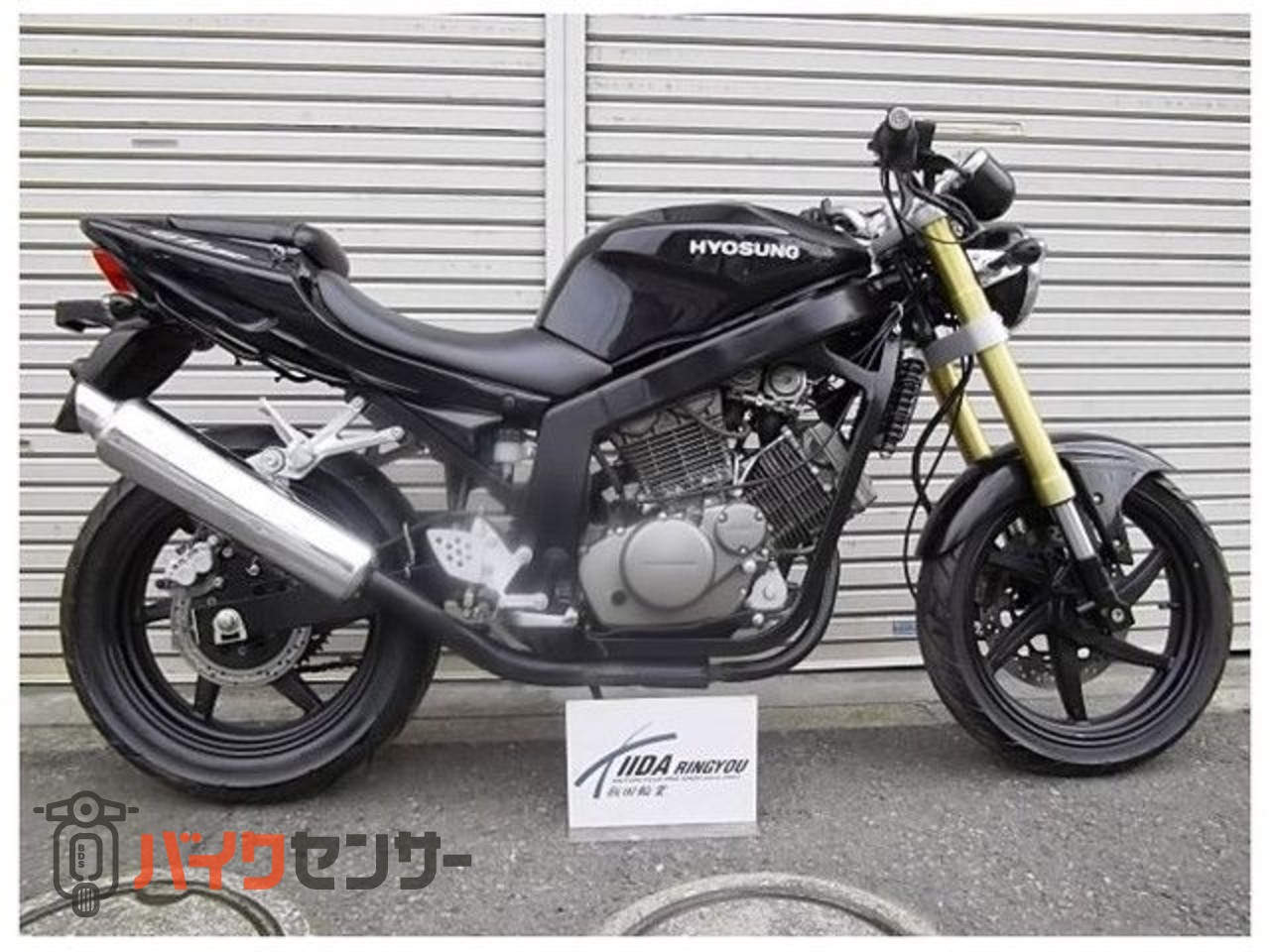 その他外車 他車種（126～250） ヒョースンGT250 B000192| BDS
