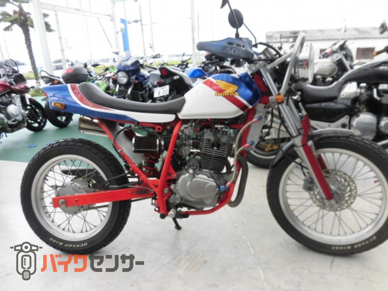 ha-ta　ホンダ　FTR223 キャブ車 ホンダ FTR223 TMRキャブ 武川233ピストン 前後ホイール改 品質評価要