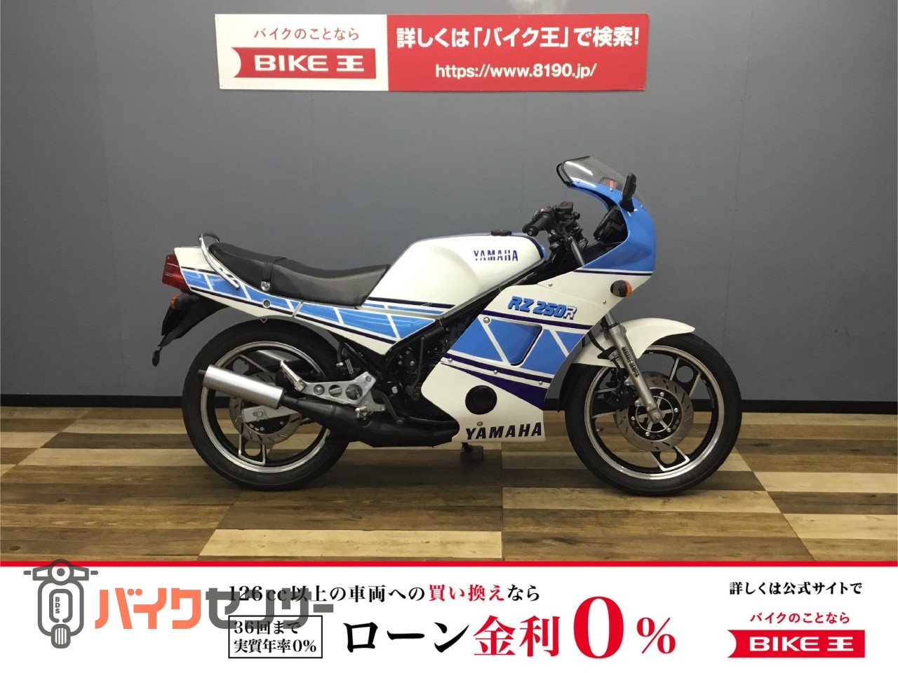 ヤマハ RZ250RR 51L YSP限定 B250361| BDSバイクセンサー