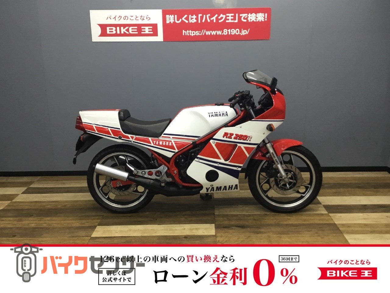 ヤマハ RZ250RR 51L0 オプション・アンダーカウル/シングル