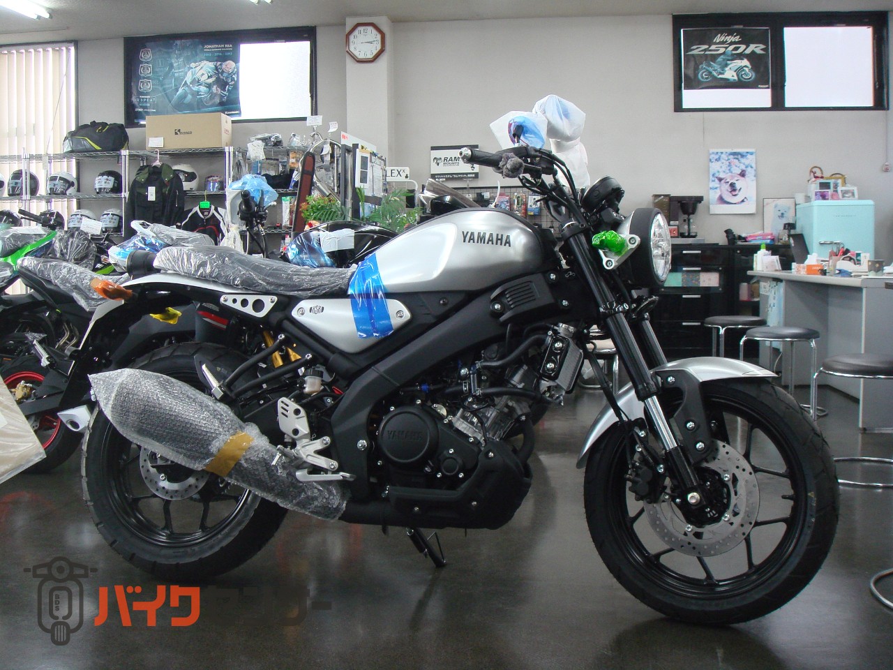 ヤマハ XSR125 RE46J 2024年モデル B271514| BDSバイクセンサー