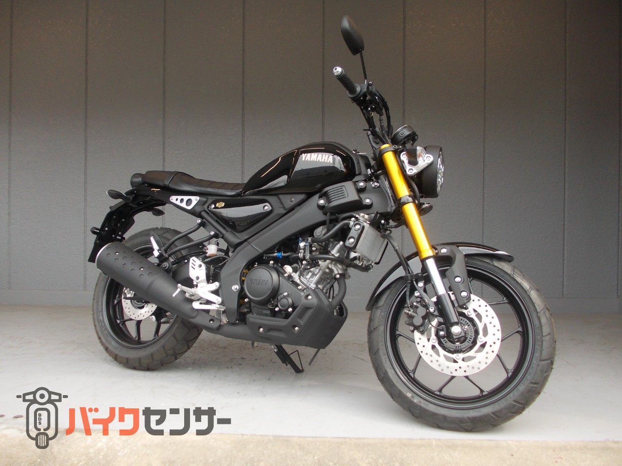 ヤマハ XSR125 RE46Jモデル B296265| BDSバイクセンサー