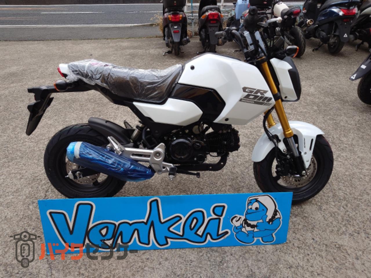 ホンダ グロム 2024年最新モデル 動画あり B296699| BDSバイクセンサー