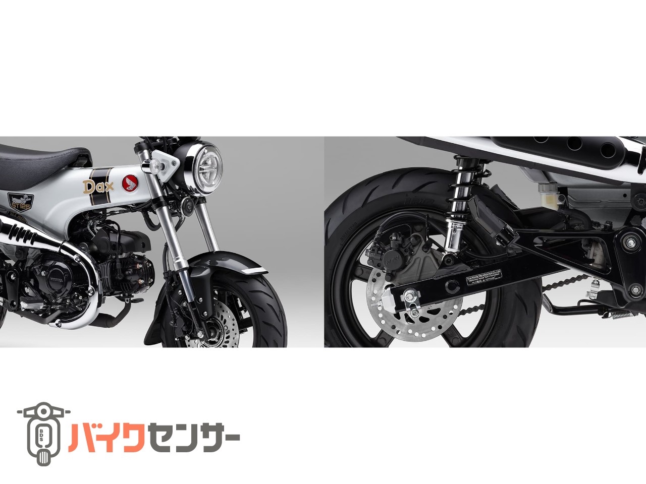 ホンダ DAX125 NEW ホワイト・ブラック入荷しました！ B321319| BDS