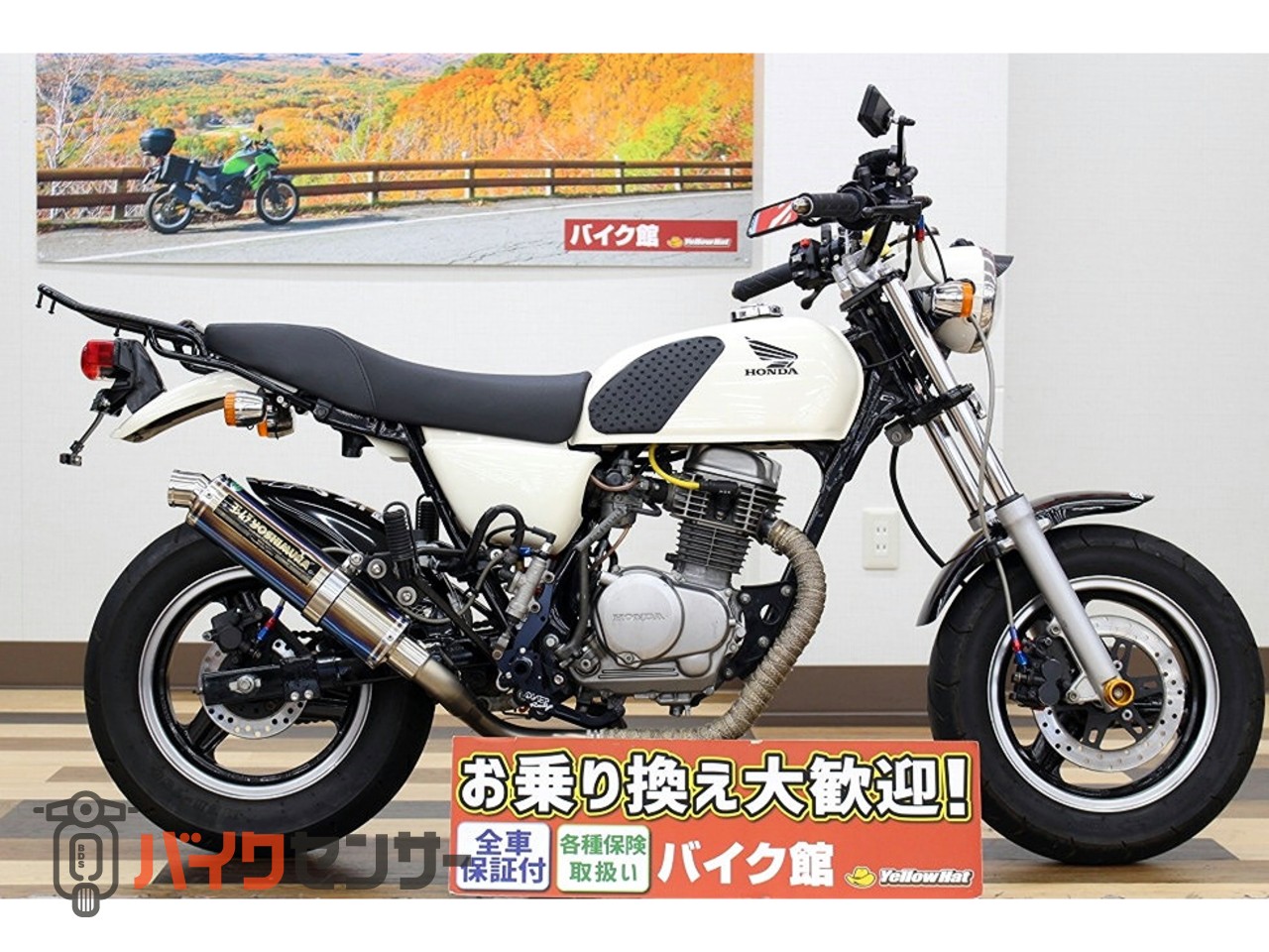 エイプ フルカスタム 絶好調 ホンダ エイプ100 プロが造るカスタム