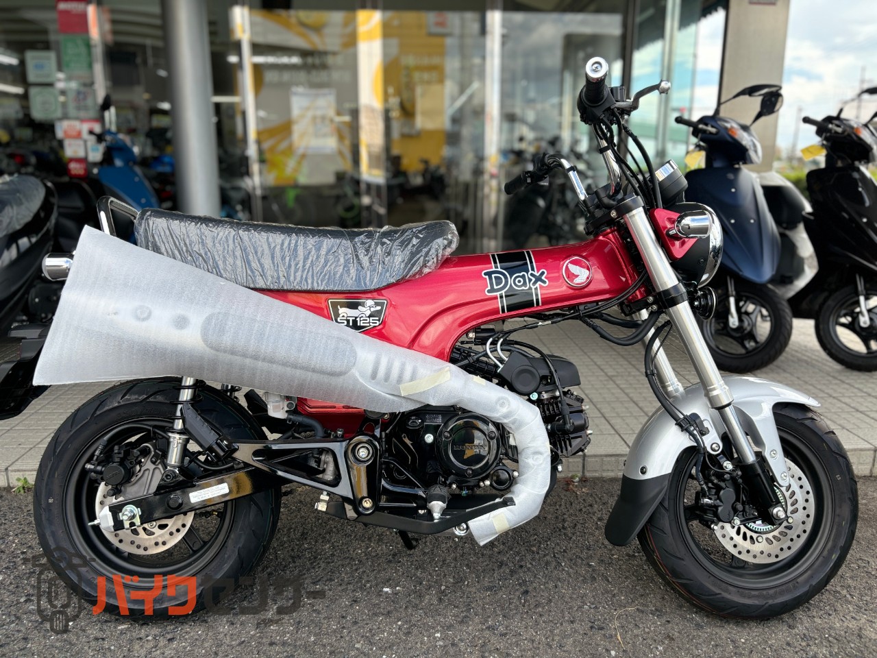ホンダ DAX125 2023年モデル レッド 新車 B367398| BDSバイクセンサー