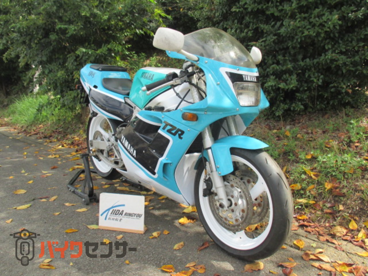 ヤマハ TZR250 後方排気 後期型 B375600| BDSバイクセンサー