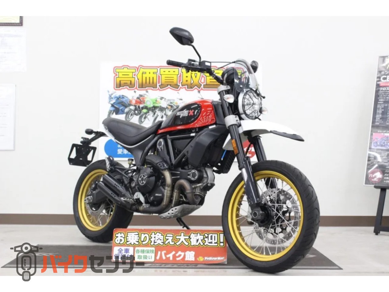 ドゥカティ SCRAMBLER DESERT SLED B376669| BDSバイクセンサー