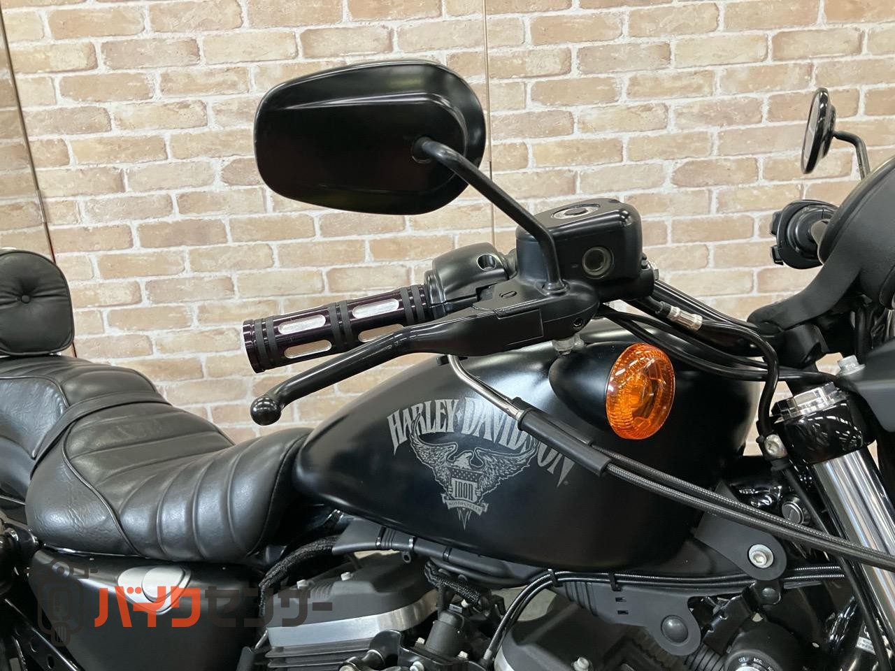 XL883N アイアン 後期 バッカーニマフラー ペアライド サイドバック エンジンガード_7