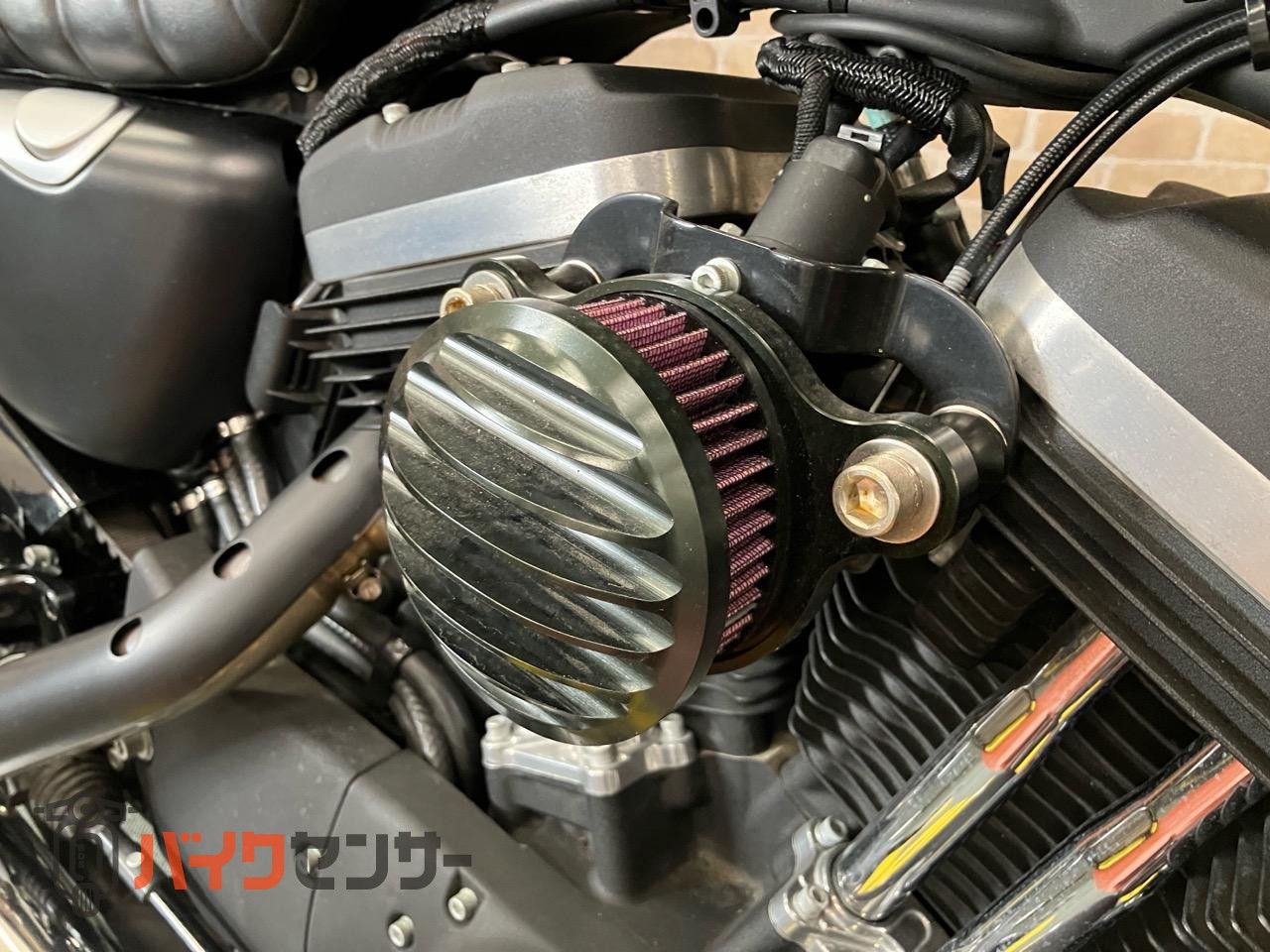 XL883N アイアン 後期 バッカーニマフラー ペアライド サイドバック エンジンガード_10