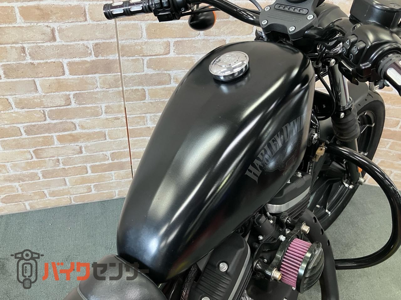 XL883N アイアン 後期 バッカーニマフラー ペアライド サイドバック エンジンガード_24