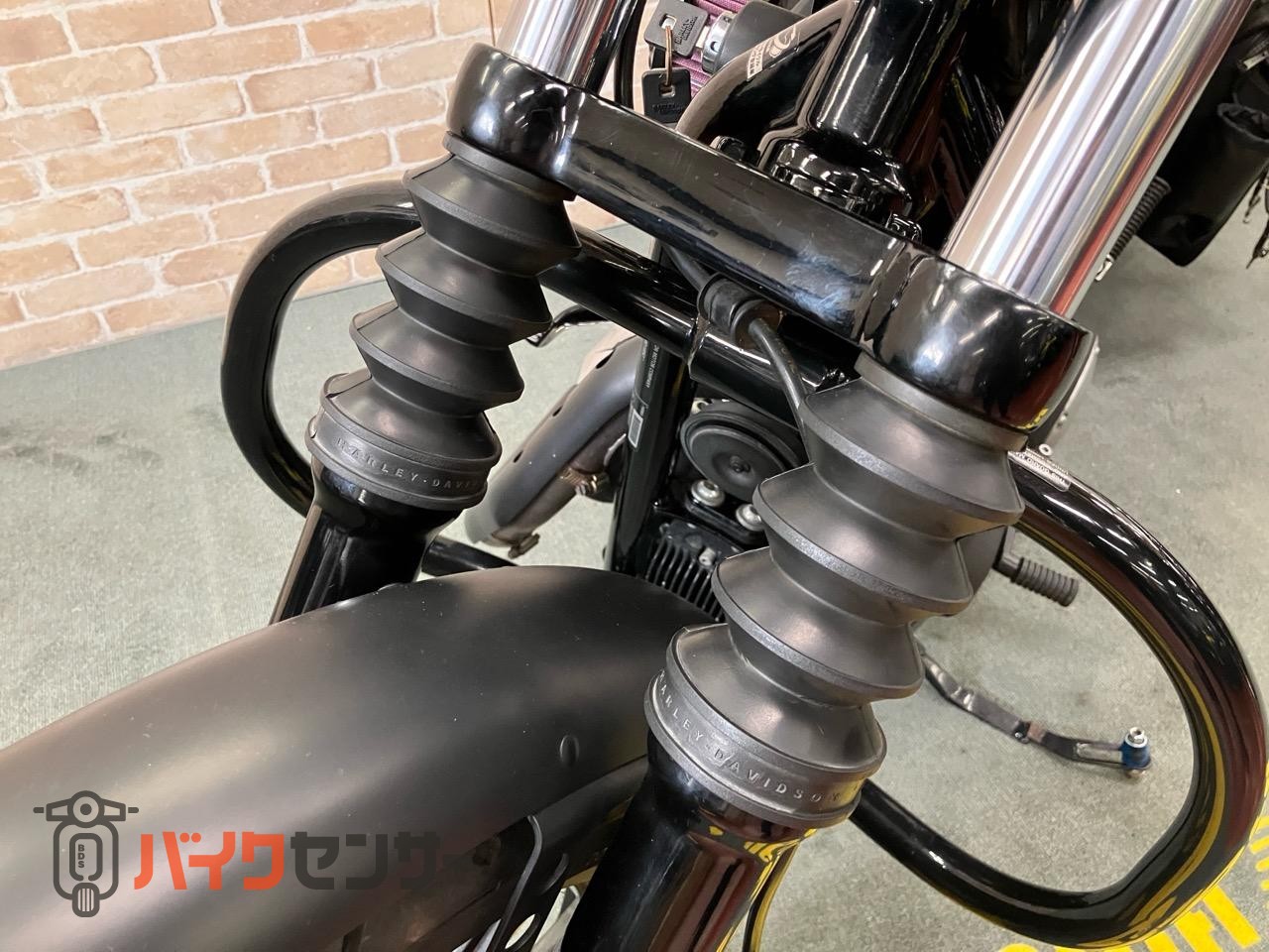 XL883N アイアン 後期 バッカーニマフラー ペアライド サイドバック エンジンガード_29