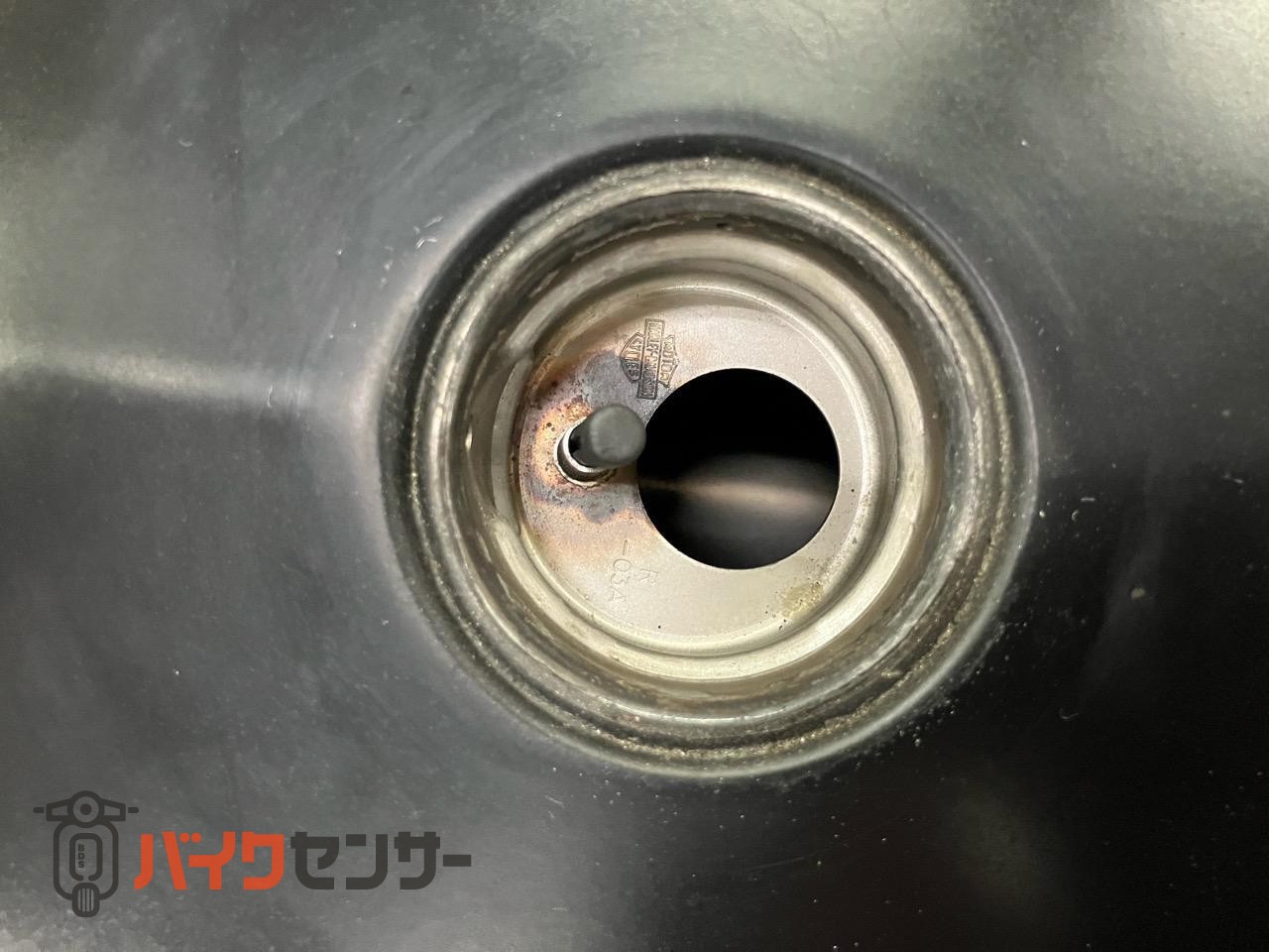 XL883N アイアン 後期 バッカーニマフラー ペアライド サイドバック エンジンガード_38