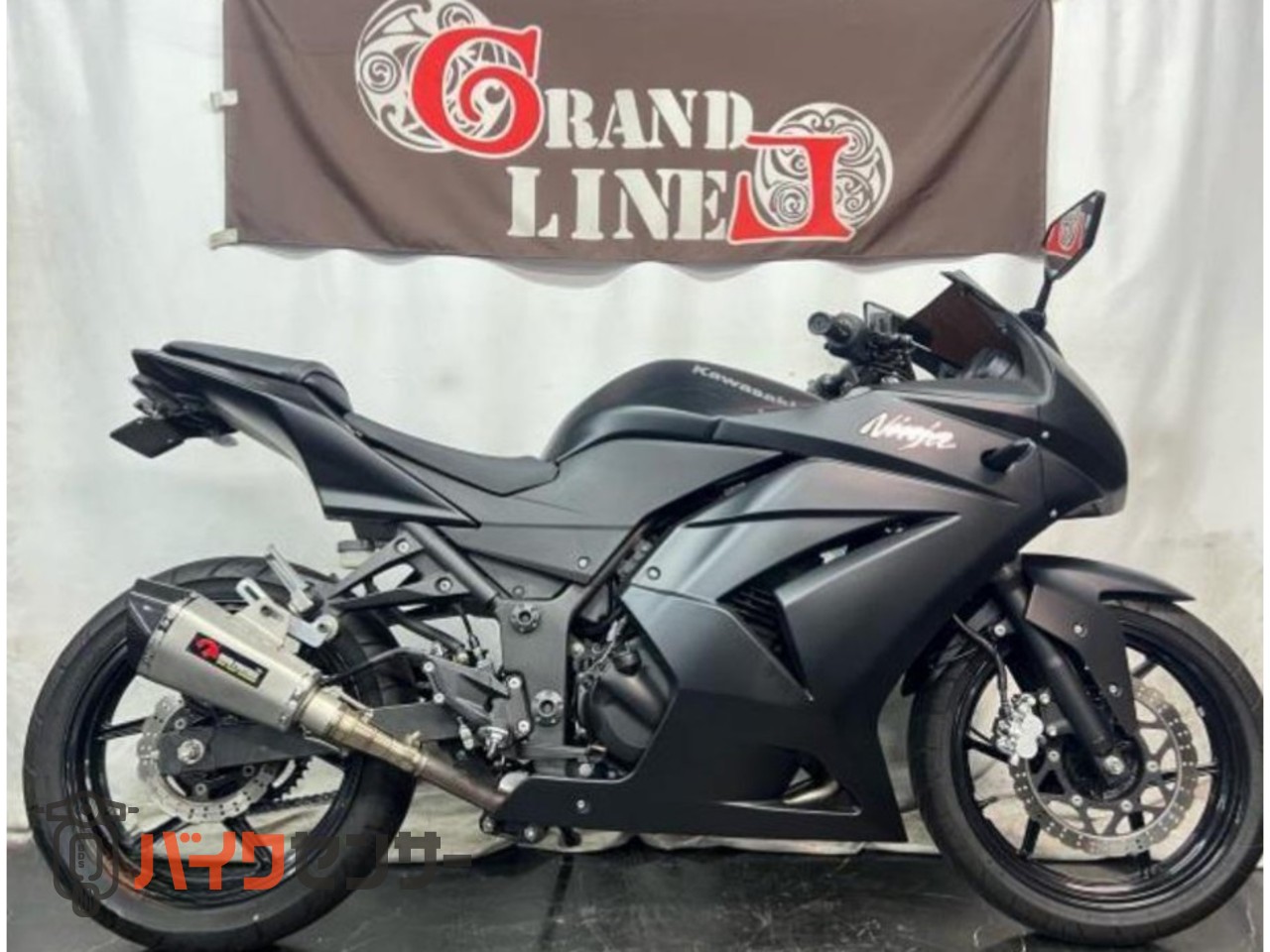 カワサキNinja250逆車マッドブラック