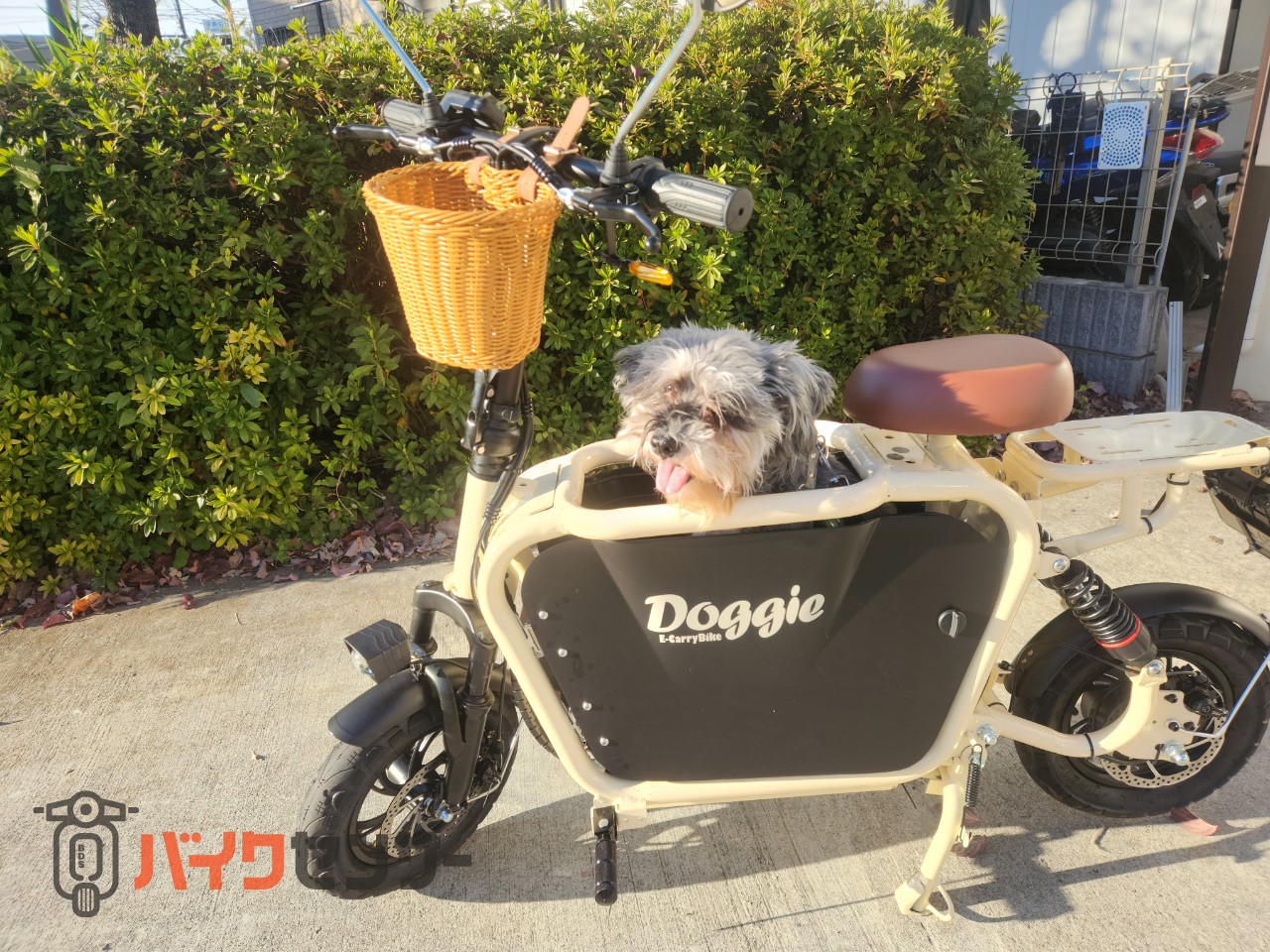 その他電動 電動スクーター Doggie （ドギー） B417091| BDSバイクセンサー