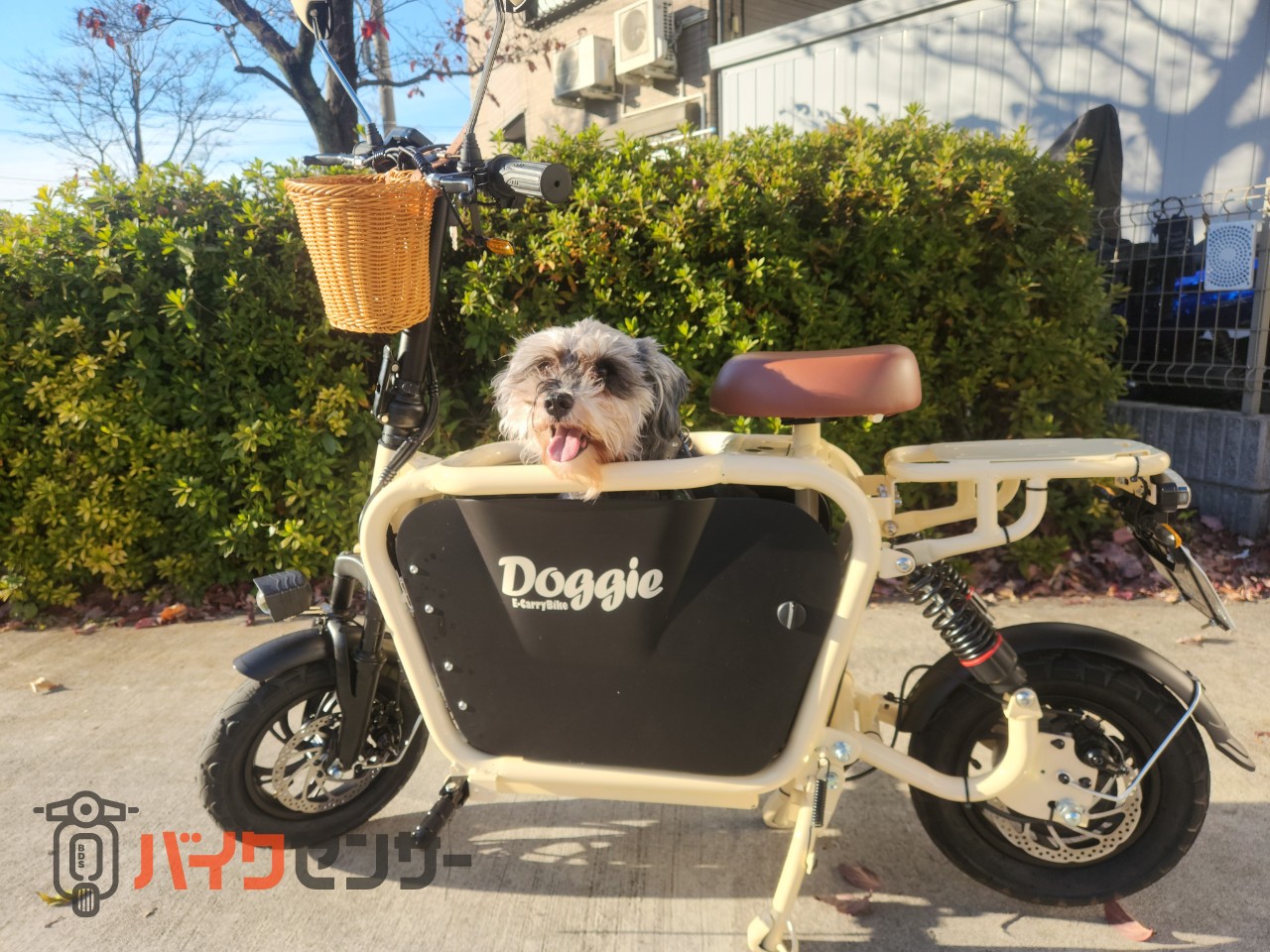 その他電動 電動スクーター Doggie （ドギー） B417091| BDSバイクセンサー