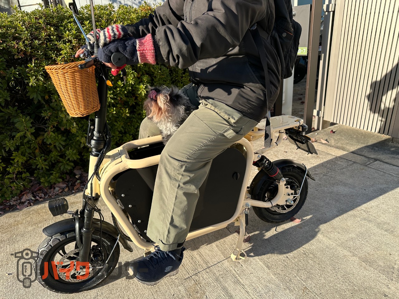 その他電動 電動スクーター Doggie （ドギー） B417091| BDSバイクセンサー