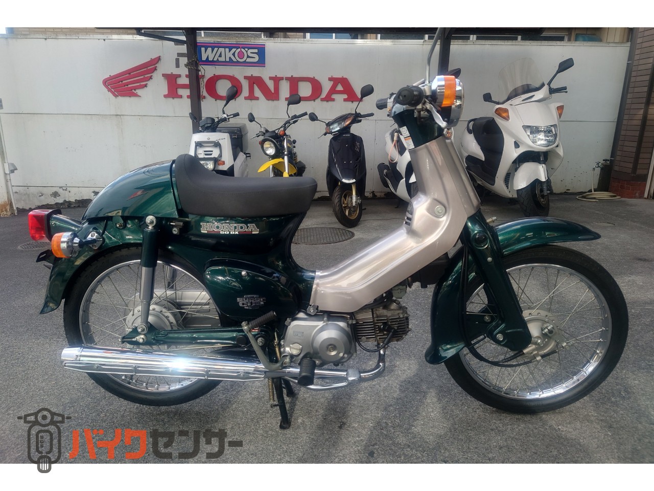 ホンダ スーパーカブ50 DX AA01 キャブレター車 B455225| BDSバイク