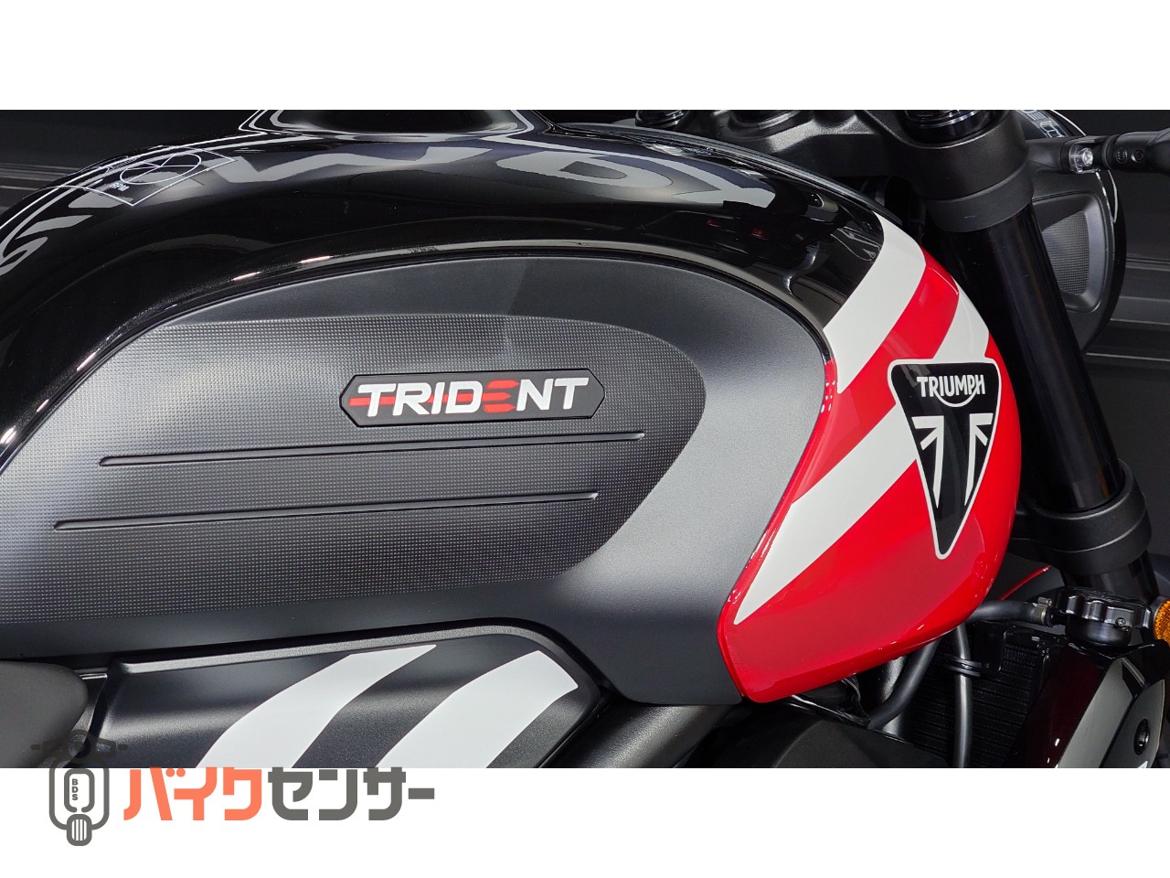 トライアンフ 【動画あり】トライデント660 クイックシフター