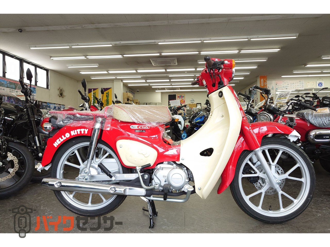 ホンダ スーパーカブ110 HELLO KITTY受注期間限定モデル B484659| BDS