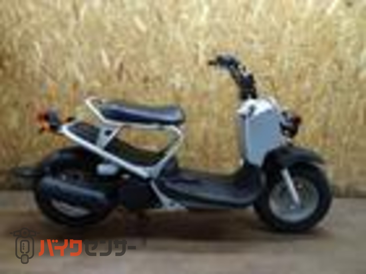 ホンダ ズーマー ａｆ５８ シルバー B sバイクセンサー
