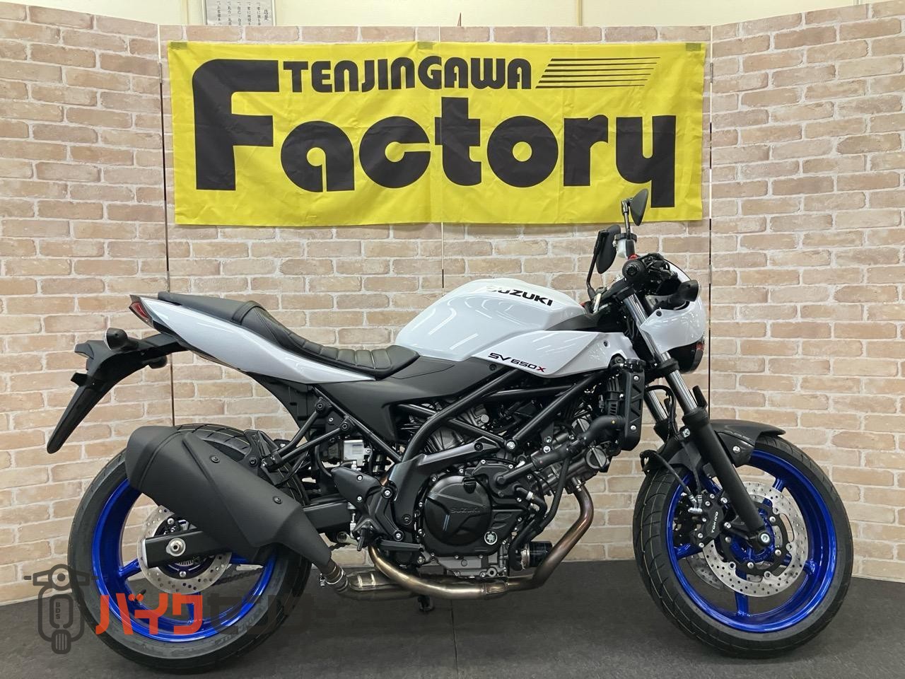 SV650X　2025年モデル　パールテックホワイト_0