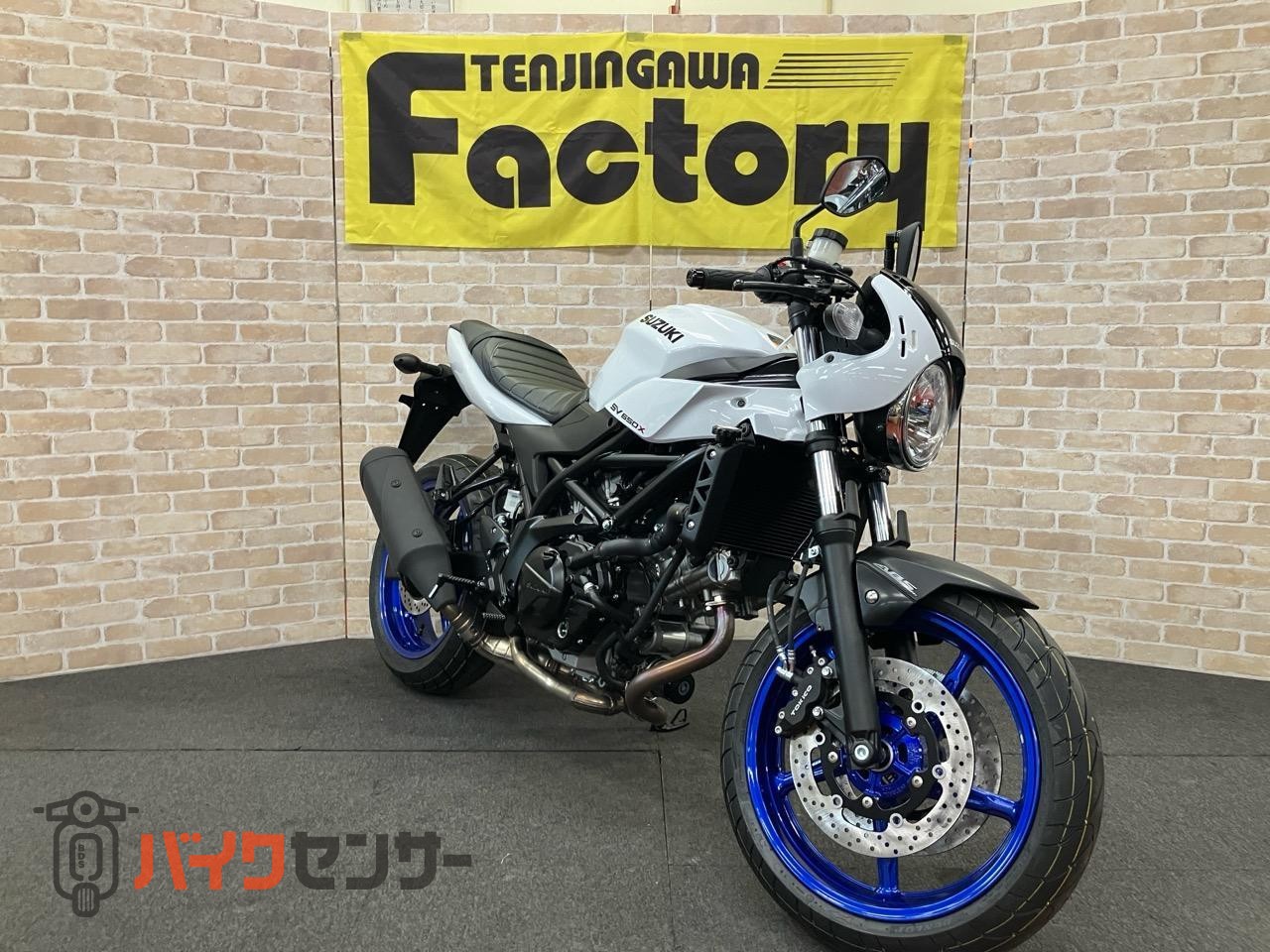 SV650X　2025年モデル　パールテックホワイト_2