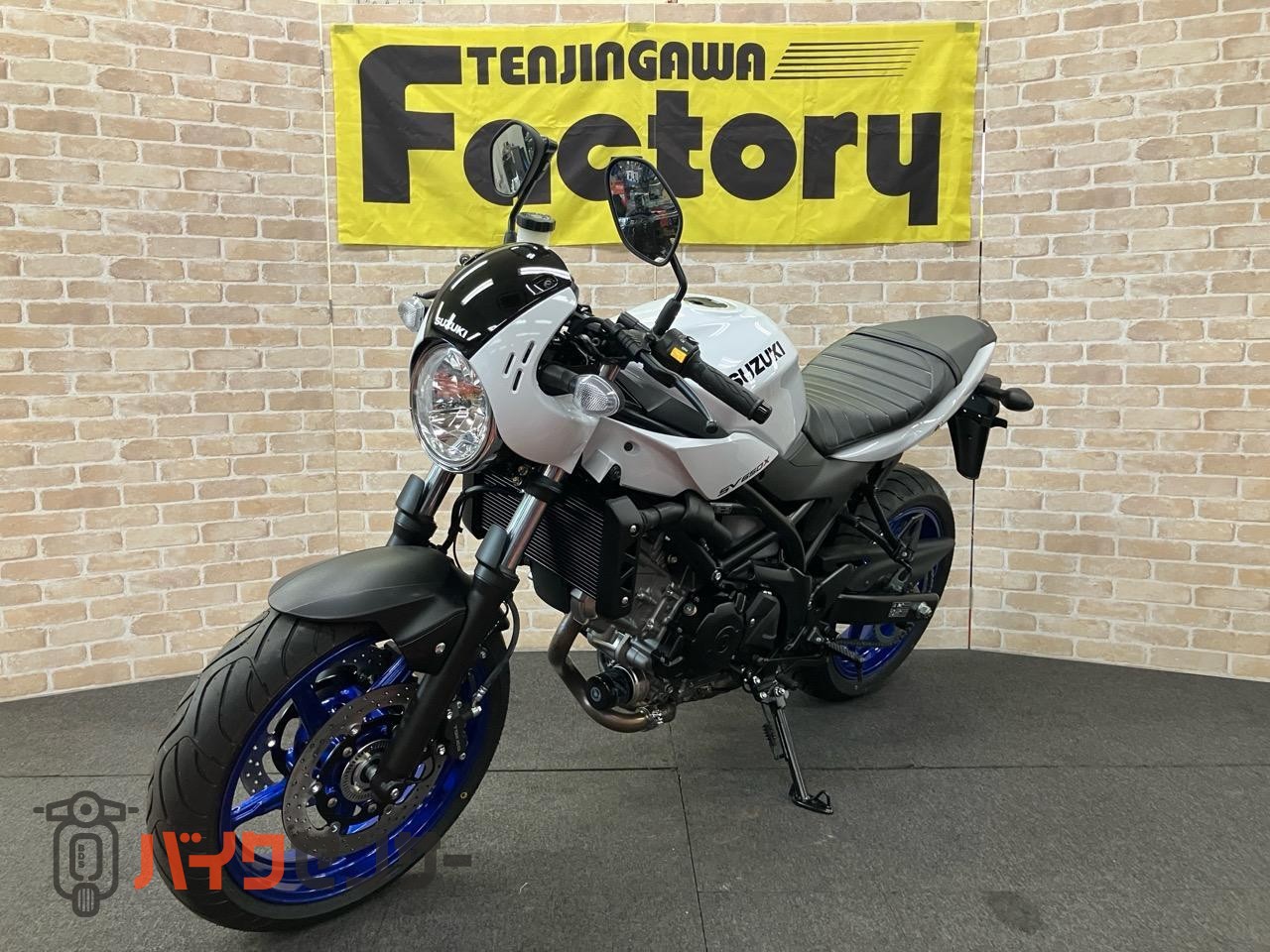 SV650X　2025年モデル　パールテックホワイト_3