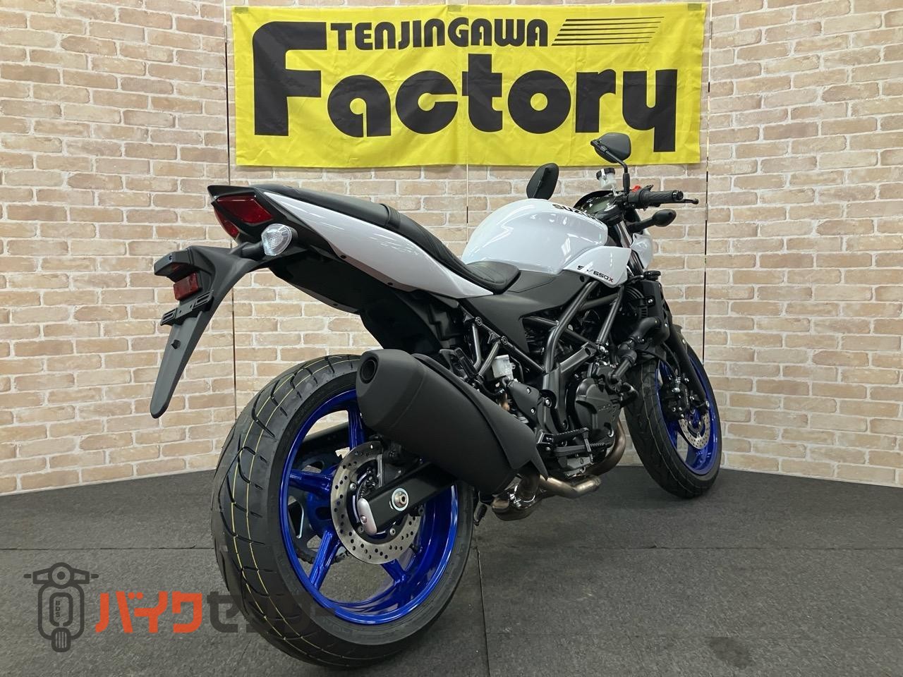 SV650X　2025年モデル　パールテックホワイト_4