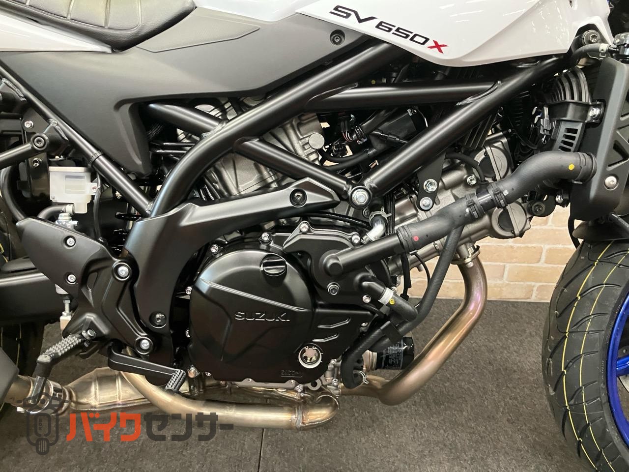 SV650X　2025年モデル　パールテックホワイト_8