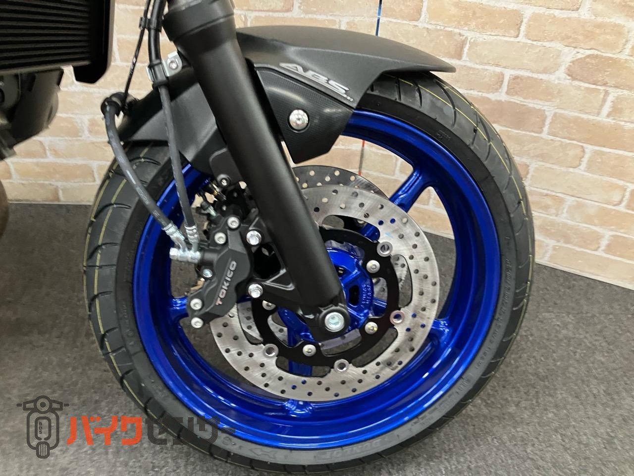 SV650X　2025年モデル　パールテックホワイト_10