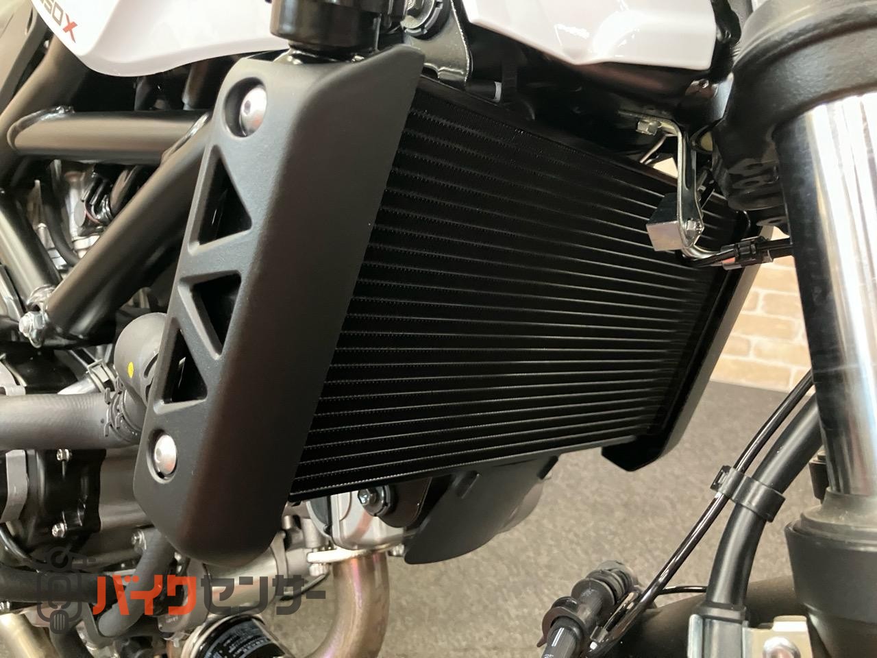SV650X　2025年モデル　パールテックホワイト_15