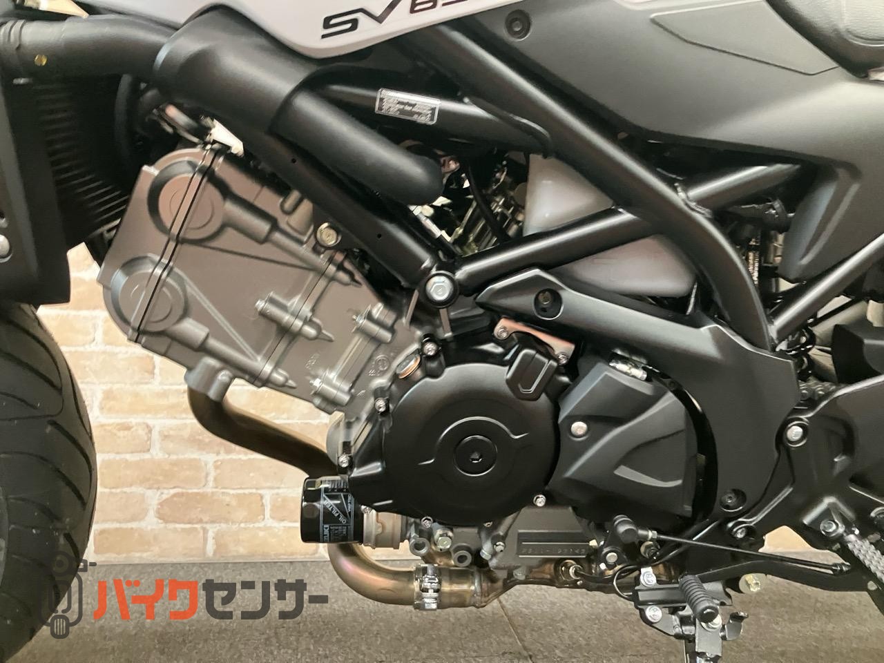 SV650X　2025年モデル　パールテックホワイト_23