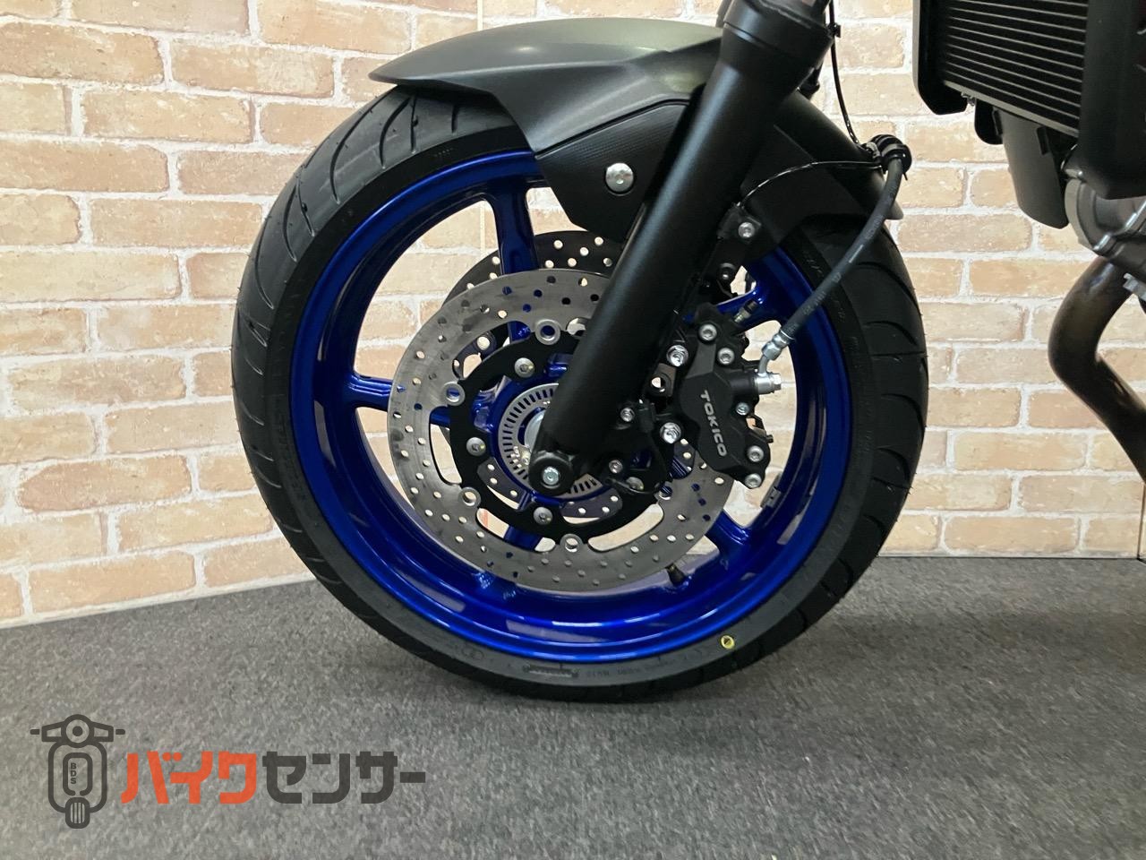 SV650X　2025年モデル　パールテックホワイト_25