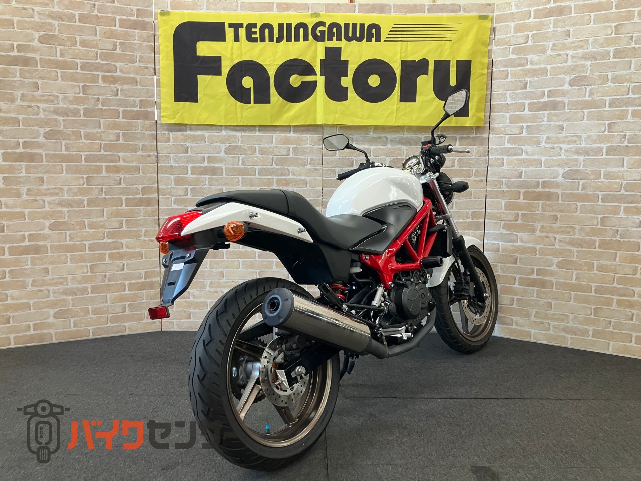 VTR250　スライダー　ETC パールサンビームホワイト_4