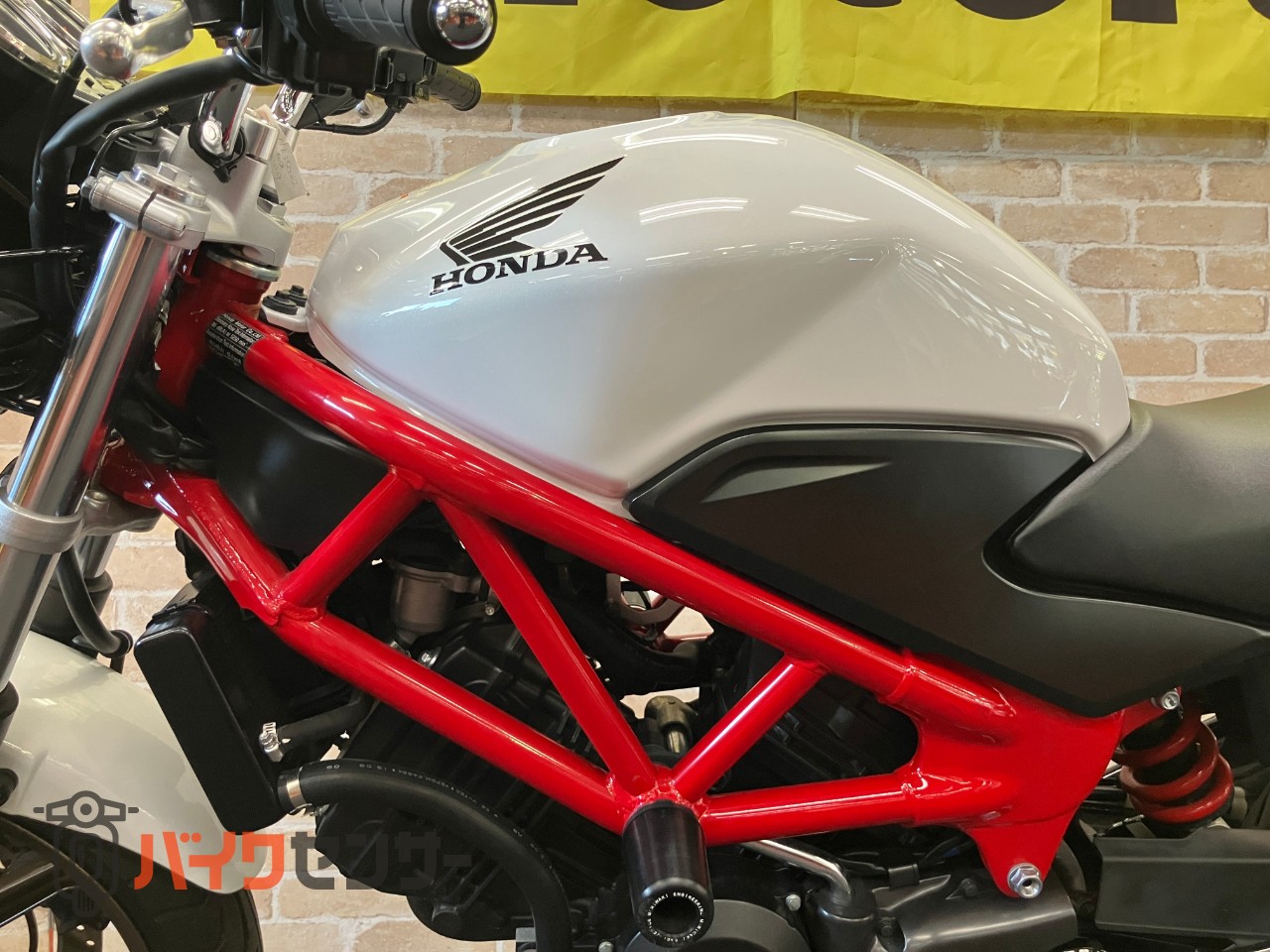 VTR250　スライダー　ETC パールサンビームホワイト_18