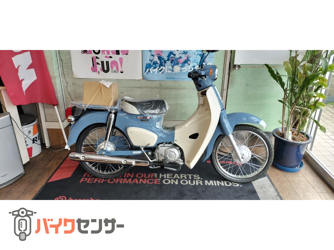 スーパーカブ50 福岡 HONDA 50cc 青 原付 【公式通販】