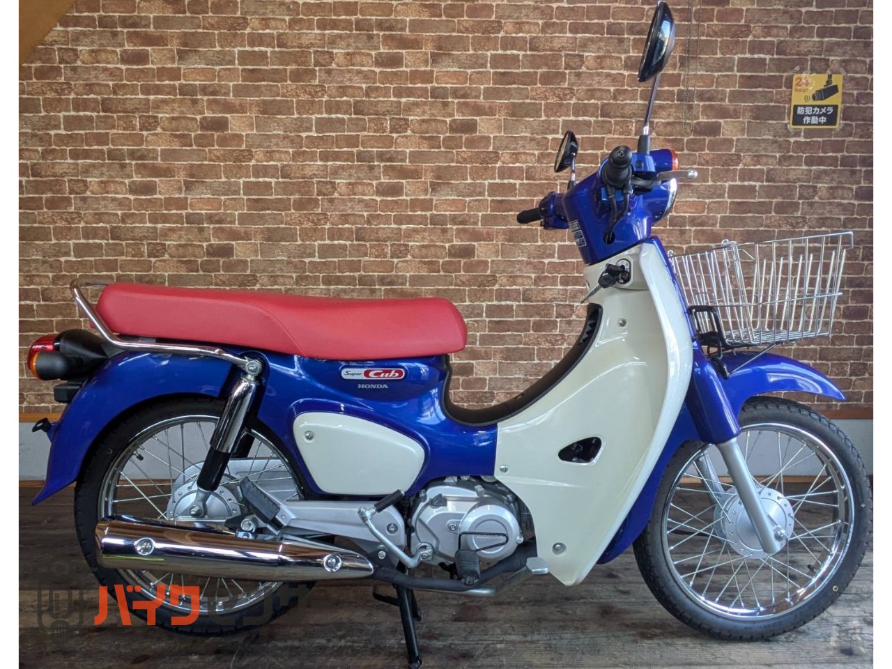 ホンダ スーパーカブ タイプX 124cc B518386| BDSバイクセンサー