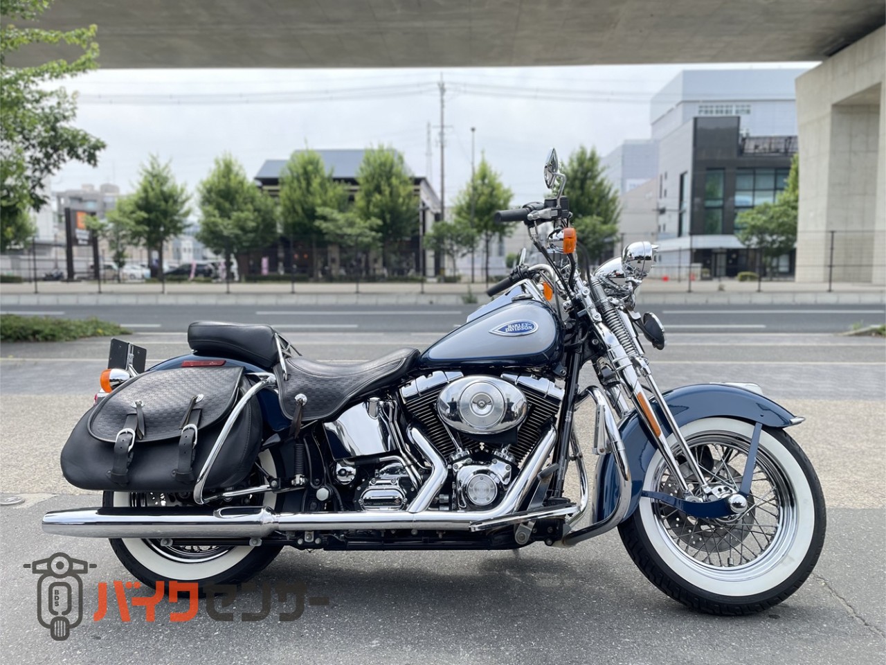 ハーレーダビッドソン FLSTS ヘリテイジスプリンガー B520005| BDS