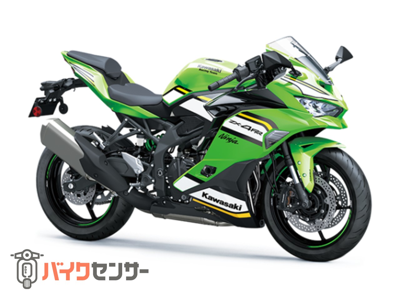 ZX-14R/ABS 12-22 レース R-77 カーボン/ステンレス フル