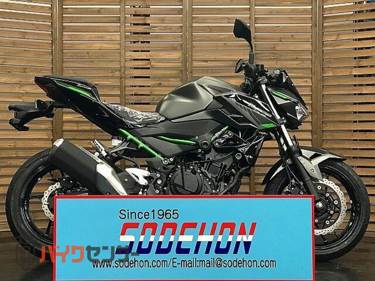 カワサキ Z250 2024年モデル メタリックマットグラフェンスチール