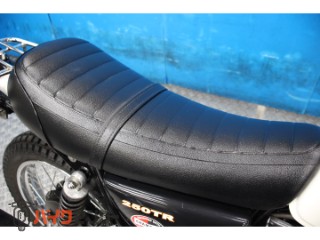 250TR　ＢＪ２５０Ｆモデル　インジェクション　プチカスタム[img12]