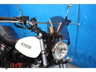 250TR　ＢＪ２５０Ｆモデル　インジェクション　プチカスタム[img15]
