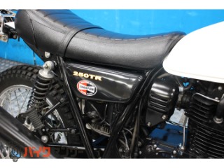 250TR　ＢＪ２５０Ｆモデル　インジェクション　プチカスタム[img23]