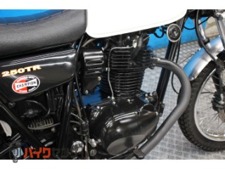 250TR　ＢＪ２５０Ｆモデル　インジェクション　プチカスタム[img28]