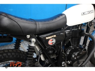 250TR　ＢＪ２５０Ｆモデル　インジェクション　プチカスタム[img29]
